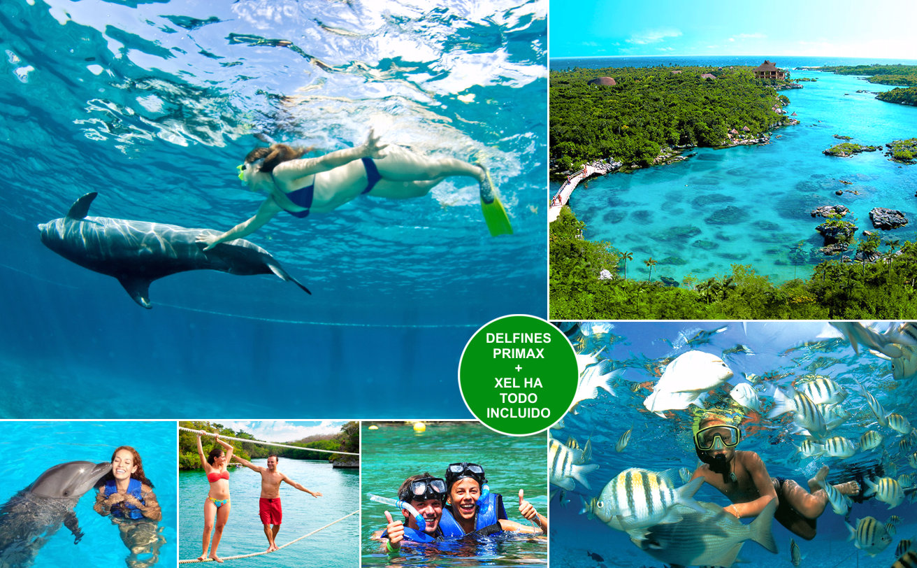 Delfines Primax + Xel Há todo incluido desde Cancún