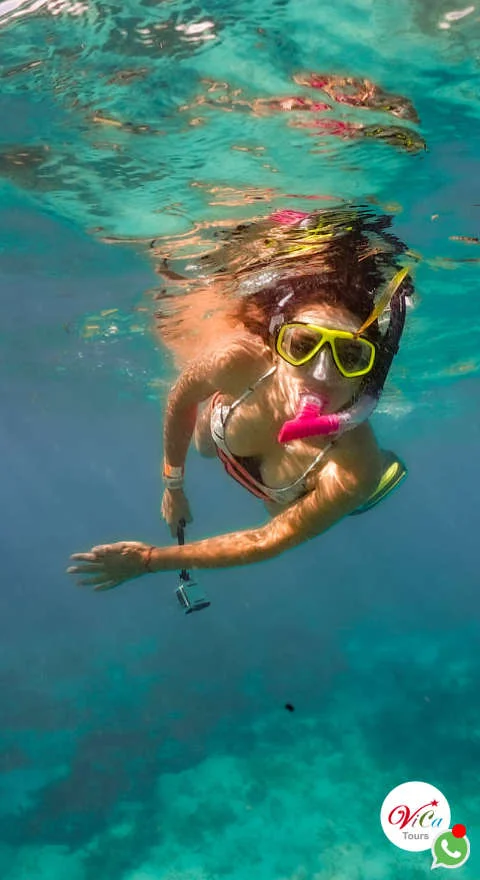 la temporada 2025 para nadar con el tiburón ballena en cancún es del 1 de junio al 17 de septiembre, todo incluido