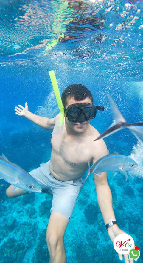 oferta de tours en cozumel abordo de un catamarán, snorkel en el cielo y arrecifes palacar, más playa el cielito con bebidas