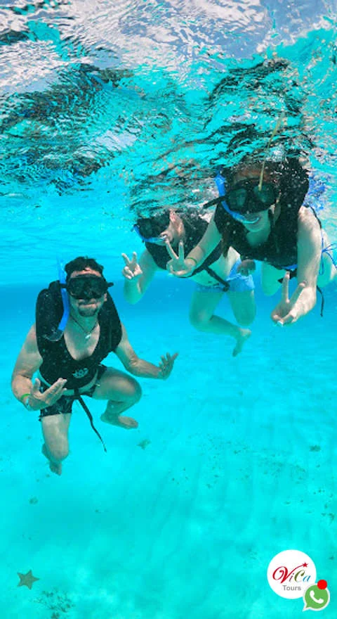 excursión todo incluido en catamarán en cozumel, comida, bebidas y snorkel en cielo y arrecifes palacar, oferta limitada