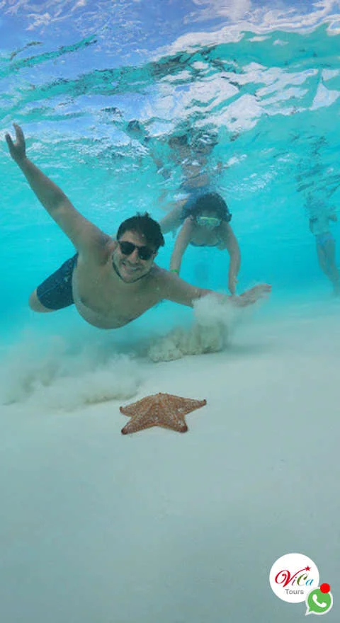 entradas para el tour a cozumel en catamarán con las estrellas de ma y arrecifes, comida y barra libre, música y diversión