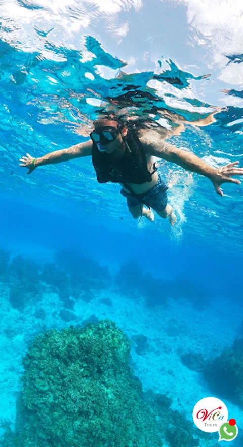 el precio del tour a cozumel incluye cinco horas de diversión en alta mar, snorkel en el cielo, comida y barra libre