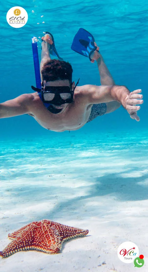 ¿donde se ubica el cielo de cozumel? cerca de los arrecifes