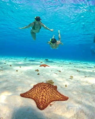 tour barato en Cozumel con snorkel, comida y bebidas 2027