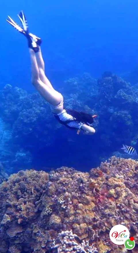 excursión a cozumel todo incluido desde cancún, diario
