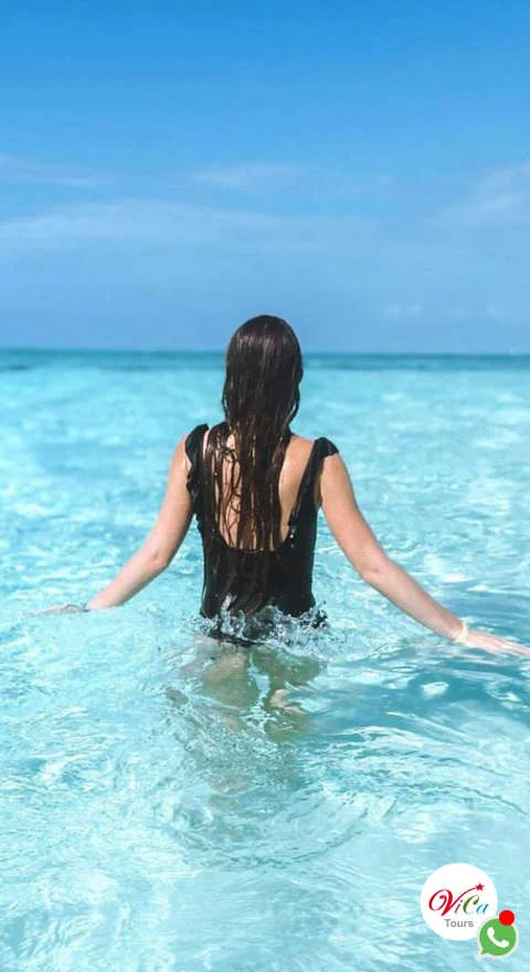 tour a cozumel desde cancún all inclusive y estrellas de mar