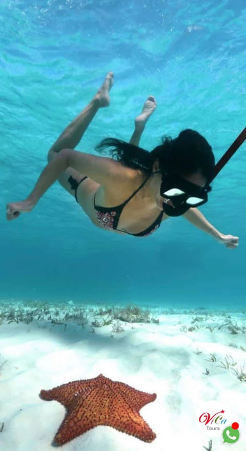 excursión el cielo de cozumel con transporte desde cancún