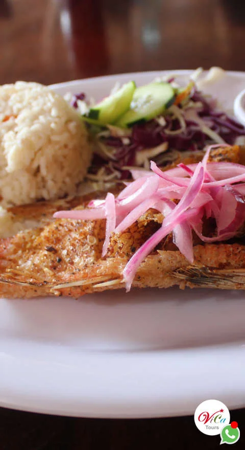 excursiones en cozumel, snorkel en arrecifes y estrelllas