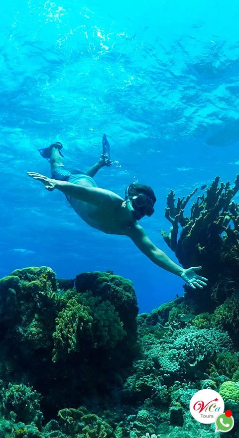 tour económico snorkel en el cielo de cozumel all inclusive