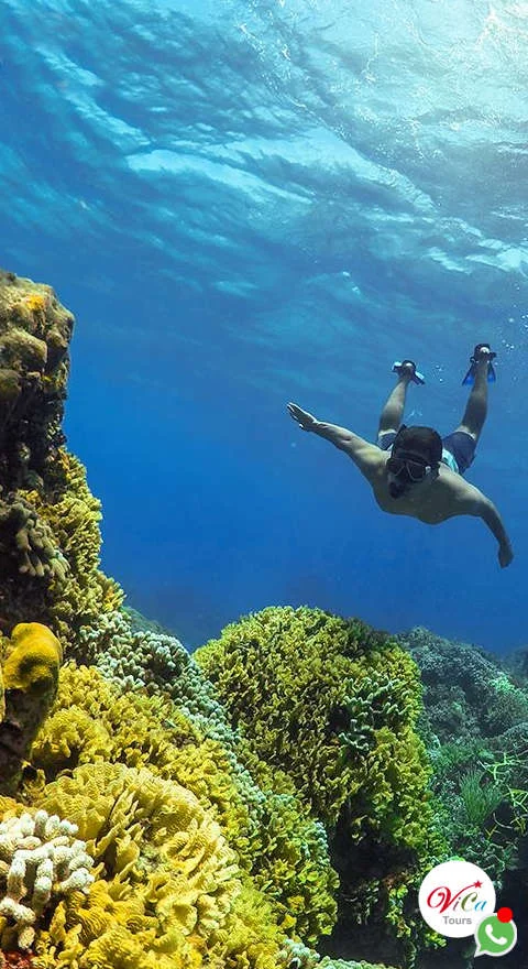 excursión snorkel en cozumel el cielo y arrecifes económico