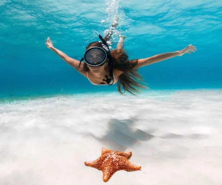 Mujer con snorkel admirando una estrella de mar en las cristalinas aguas de Cozumel durante una excursión con Vive Cancún Tours