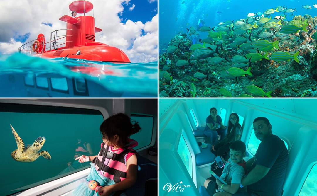 Aventura en Submarino Nemo: Arrecifes y Fauna Marina en Isla Mujeres