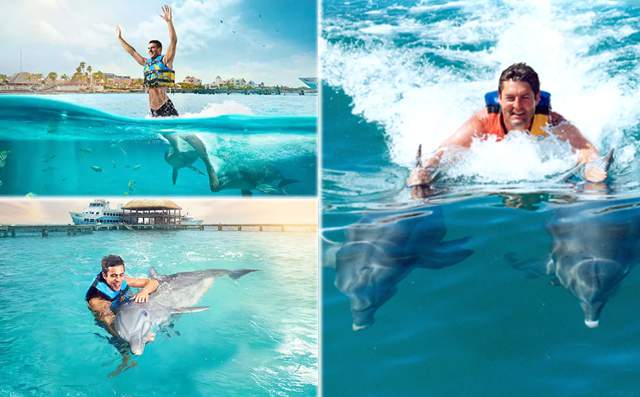 Nado con Delfines barato en Cancún Isla Mujeres 2029