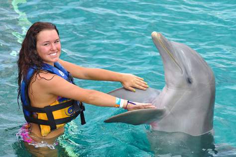 Nado con Delfines Royal Swim VIP en Isla Mujeres, traslado desde Cancún