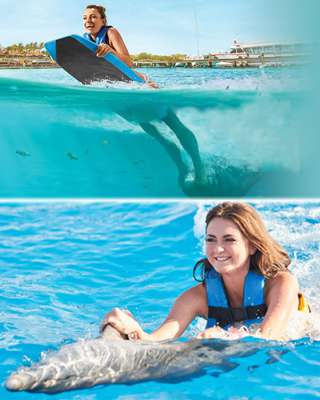 2024 Tour Delfines Economico en Cancun Isla Mujeres