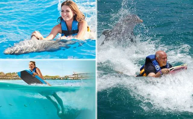 Tour Delfines Economico en Cancun Isla Mujeres 2025