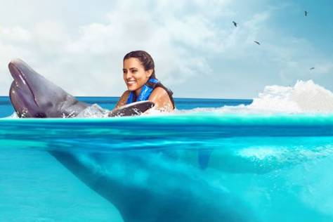 2025 Tour Delfines Economico en Cancun Isla Mujeres