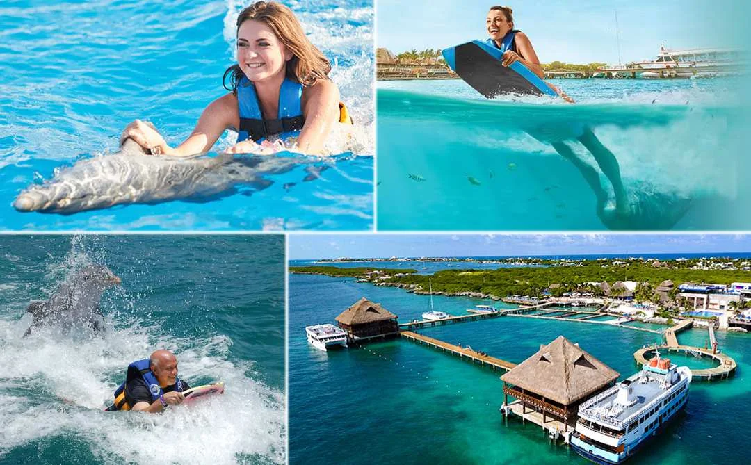 Tour Delfines Economico en Cancun Isla Mujeres 2024