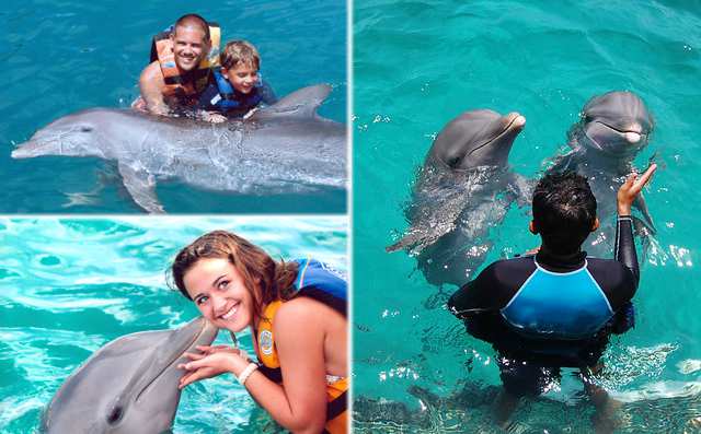 Experiencia con Delfines Cancun, cuanto cuesta nadar 2029