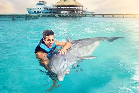 2025 Experiencia con Delfines Cancun, cuanto cuesta nadar