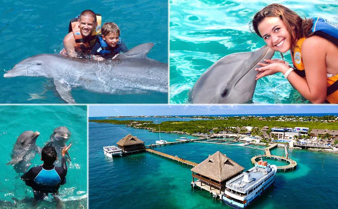Experiencia con Delfines Cancun, cuanto cuesta nadar 2024