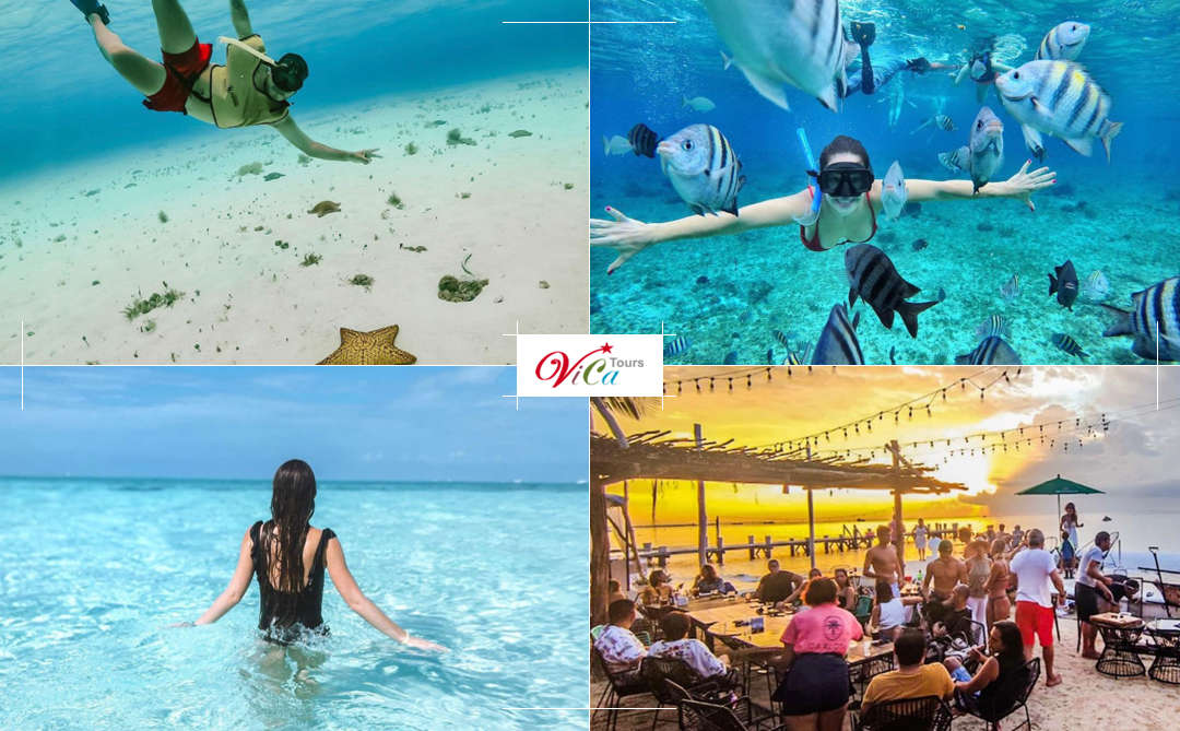 Isla COZUMEL VIP Snorkel en EL CIELO traslado desde la Riviera Maya