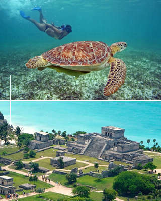 2024 Nado con Tortugas en Akumal desde Cancun