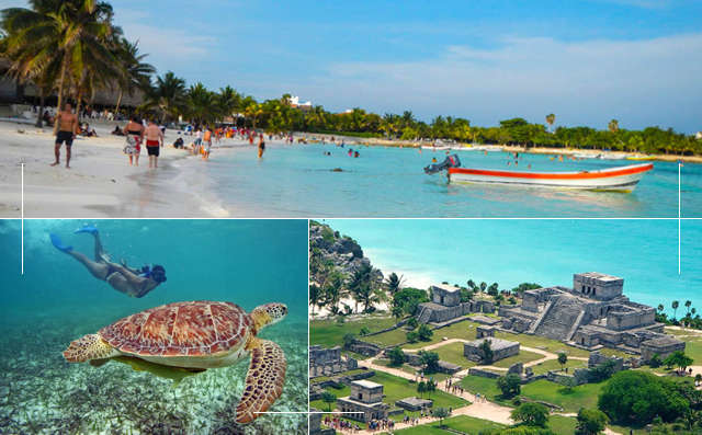Nado con Tortugas en Akumal desde Cancun 2029