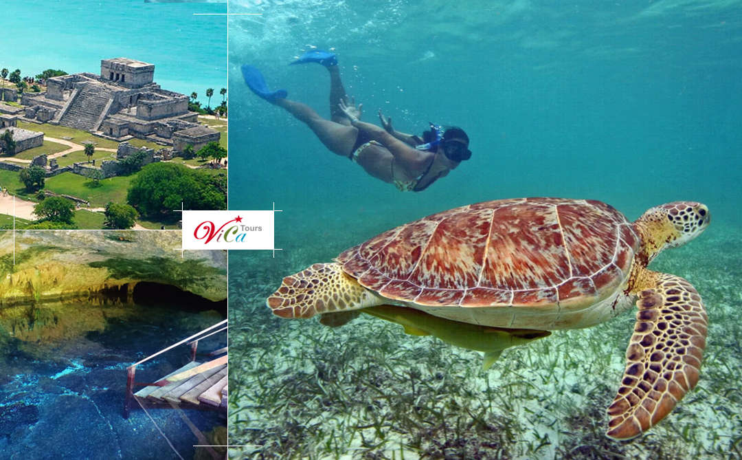 Ruinas de Tulum, Nado en Cenote y Nado con Tortugas en Akumal traslado desde Cancún | Plus