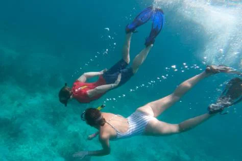 Snorkel en Playa del Carmen, Laguna y Cenote Caverna 2027