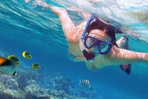 Snorkel en Cozumel Precios con traslado desde Cancun 2027