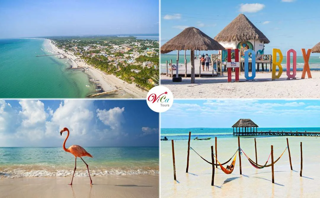 Como llegar a Holbox ? Traslado economico desde Cancun 2024
