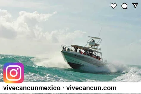 InstagraM Vive Cancun